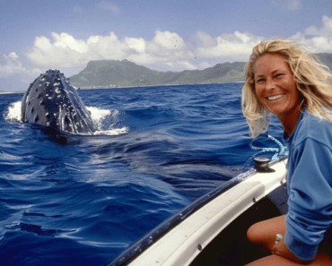 Giant whale won’t leave diver alone – Then she notices the terrifying reason why