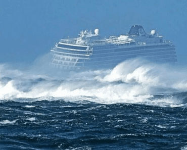 The Sad Realities of Cruise Ships That Never Match Our Expectations